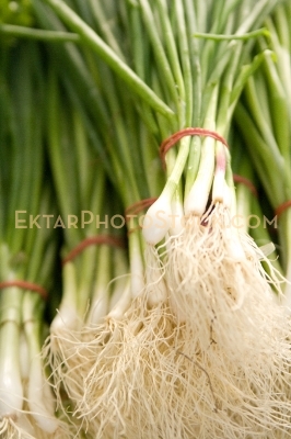 Bunches of Onion