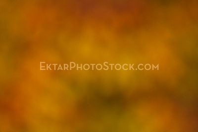 Orange abstract nature background of fall foliage 18213