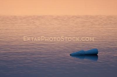 Pink gradient reflection in the water of sunset with styrofoam floater